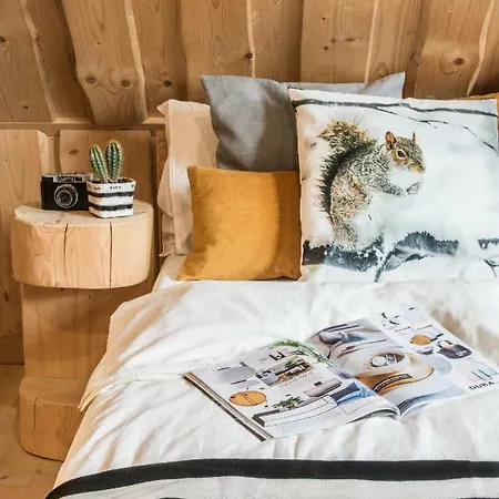 Domek alpejski Klimkówka *