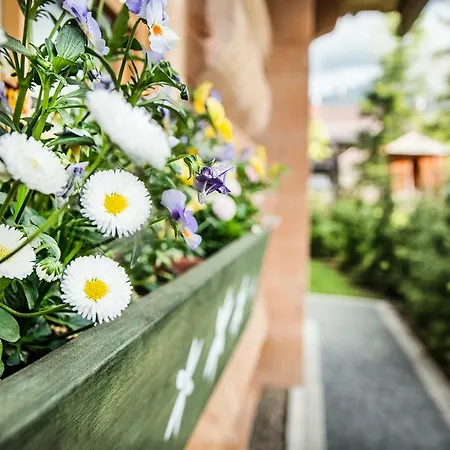 Klimkowka * Zakopane