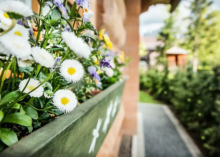 Klimkowka * Zakopane